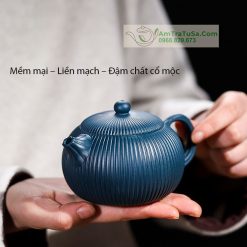 Ấm Tử Sa Hải Đường Tây Thi Thiên Thanh Nê Nguyên Khoáng 260ml ATS069 (24)