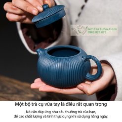 Ấm Tử Sa Hải Đường Tây Thi Thiên Thanh Nê Nguyên Khoáng 260ml ATS069 (7)